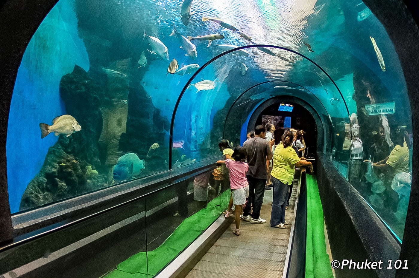 普吉水族馆 参考图 1